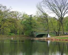 Spring scene