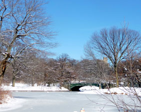 Winter scene